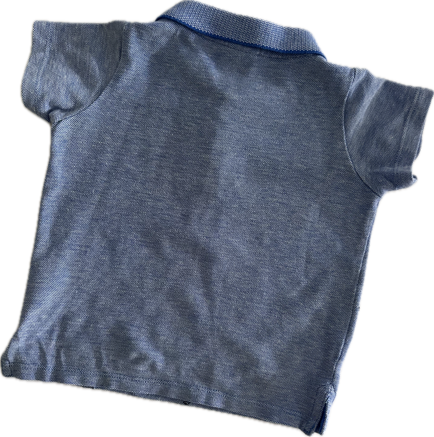 Seed Polo Shirt Baby Age 0 Blue with Dinosaur Stitched Print