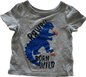 Joe Fresh T-Shirt Baby Age 0 Grey with Dinosaur